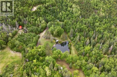 25.6 acres Blvd Des Fondateurs Saint-Isidore New Brunswick photo 35