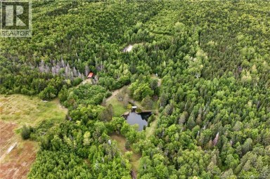 25.6 acres Blvd Des Fondateurs Saint-Isidore New Brunswick photo 36