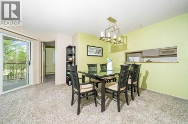 202, 245 Red Deer Drive SW Medicine Hat Alberta photo 7
