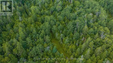 1519 WEST ROAD Northern Bruce Peninsula Ontario photo 45