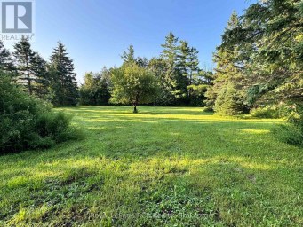 315134 HIGHWAY 6 West Grey Ontario photo 37