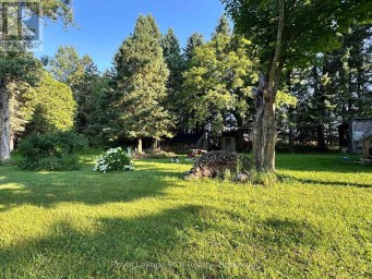 315134 HIGHWAY 6 West Grey Ontario photo 38