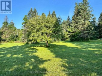315134 HIGHWAY 6 West Grey Ontario photo 39
