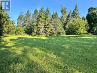 315134 HIGHWAY 6 West Grey Ontario photo 41
