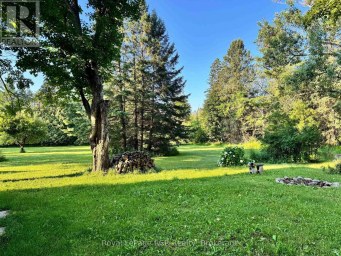 315134 HIGHWAY 6 West Grey Ontario photo 44