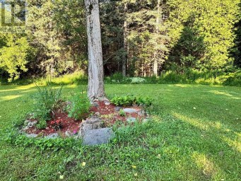 315134 HIGHWAY 6 West Grey Ontario photo 46
