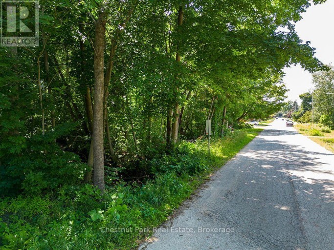 227 ELIZA STREET, Meaford, Ontario, N4L1B4
