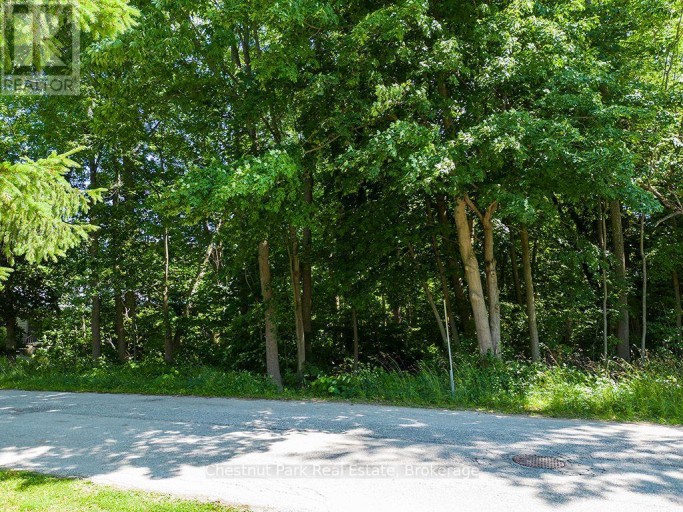 227 ELIZA STREET, Meaford, Ontario, N4L1B4