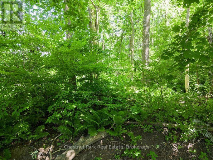 227 ELIZA STREET, Meaford, Ontario, N4L1B4