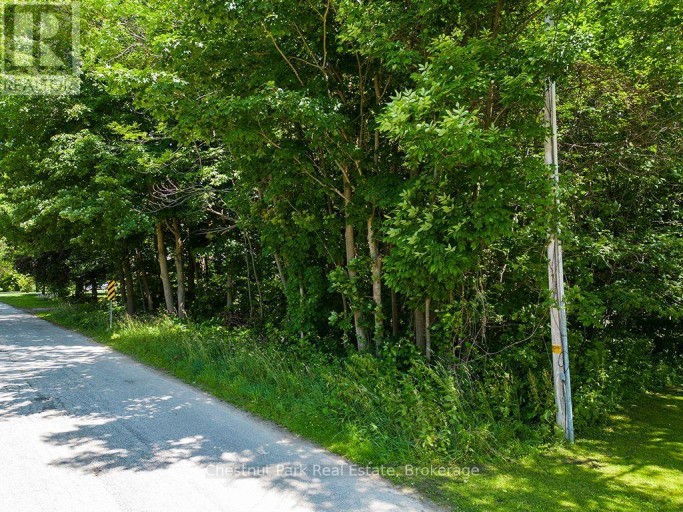 227 ELIZA STREET, Meaford, Ontario, N4L1B4