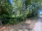 122-123 RIVERVIEW BEACH ROAD, Georgina (pefferlaw), Ontario, L0E1N0 (ID N13662416)