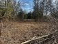 122-123 RIVERVIEW BEACH ROAD, Georgina (pefferlaw), Ontario, L0E1N0 (ID N13662416)