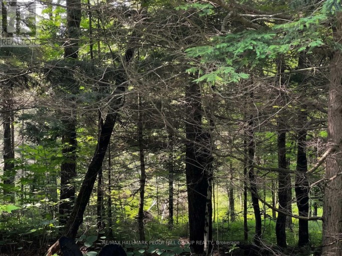 PART LOT 25 CONCESSION 1, Bracebridge (Draper), Ontario, P1L1X1