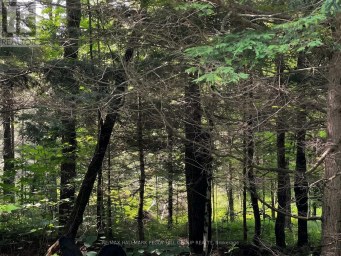 PART LOT 25 CONCESSION 1 Bracebridge (Draper) Ontario photo 3