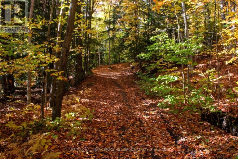 PART LOT 25 CONCESSION 1, Bracebridge (Draper), Ontario, P1L1X1