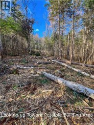 Land Chamcook Lake No 1 Chamcook New Brunswick photo 11