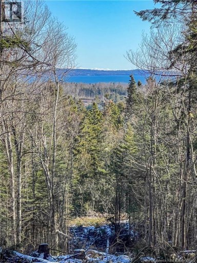 Land Chamcook Lake No 1, Chamcook, New Brunswick, E5B2Z4