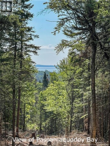 Land Chamcook Lake No 1, Chamcook, New Brunswick, E5B2Z4