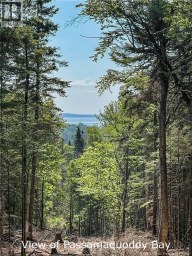 Land Chamcook Lake No 1 Chamcook New Brunswick photo 9