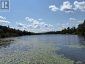 109 PATRICK STREET, Magnetawan, Ontario, P0A1P0 (ID X13664192)