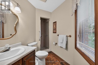27 STIRRUP COURT London North (North J) Ontario photo 17