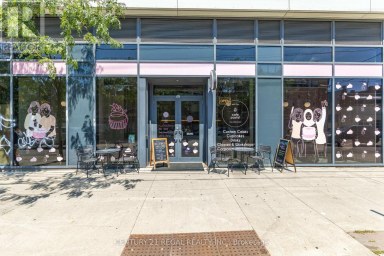 862 DUNDAS STREET W Toronto (Trinity-Bellwoods) Ontario photo 24