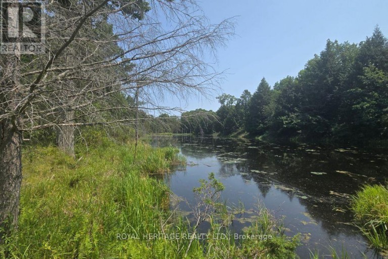 1590 ELM TREE ROAD, Central Frontenac, Ontario, K0H1B0
