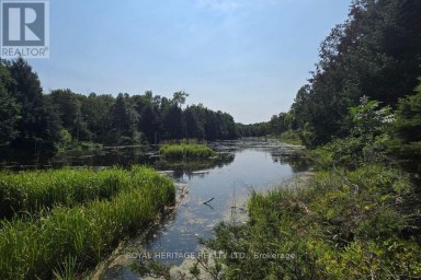 1590 ELM TREE ROAD Central Frontenac Ontario photo 13