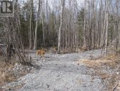 0 MERVIN LINE, Cavan Monaghan (Cavan-Monaghan), Ontario