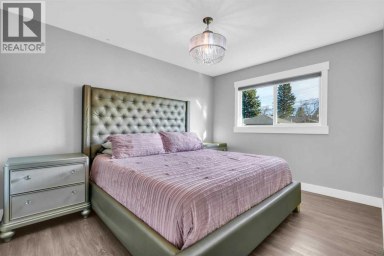 2046 33 Street SE Calgary Alberta photo 14