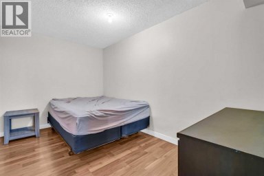 2046 33 Street SE Calgary Alberta photo 29