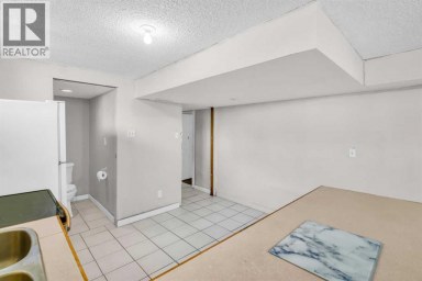 2046 33 Street SE Calgary Alberta photo 35