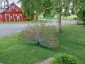 155 STORIE ROAD, Horton, Ontario, K7V3Z8 (ID X13667808)