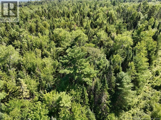 Lot Cherry Hill Road, Lower Cambridge, New Brunswick, E4C4N3