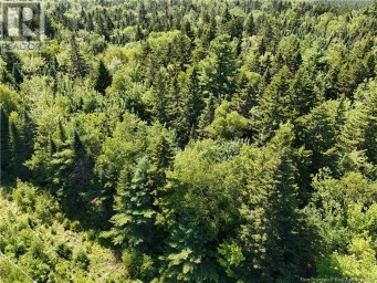 Lot Cherry Hill Road Lower Cambridge New Brunswick photo 13