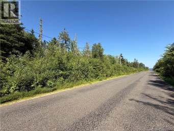 Lot Cherry Hill Road Lower Cambridge New Brunswick photo 3