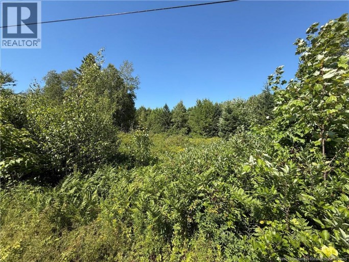 Lot Cherry Hill Road, Lower Cambridge, New Brunswick, E4C4N3