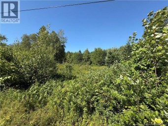 Lot Cherry Hill Road Lower Cambridge New Brunswick photo 4