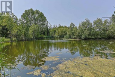 173 SELWYN ROAD Richmond Hill (Jefferson) Ontario photo 26