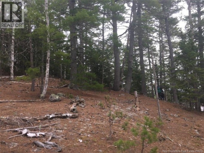 Ledge Road, St. Stephen, New Brunswick, E3L3N1