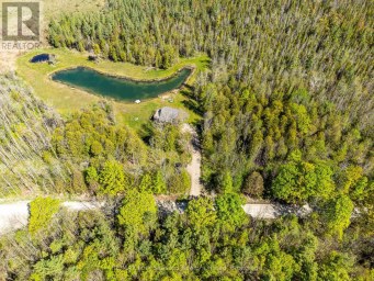 025359 EUPH-ST VINCENT TOWNLINE Meaford Ontario photo 28