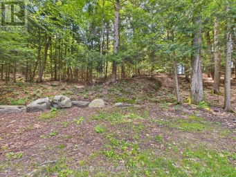 1550 MARY LAKE ROAD Huntsville (Brunel) Ontario photo 10