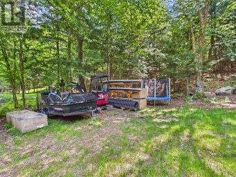 1550 MARY LAKE ROAD Huntsville (Brunel) Ontario photo 15