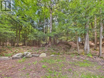1550 MARY LAKE ROAD Huntsville (Brunel) Ontario photo 16