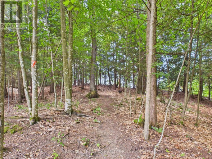 1550 MARY LAKE ROAD, Huntsville (Brunel), Ontario, P1H2J3