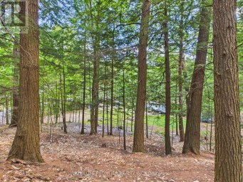 1550 MARY LAKE ROAD Huntsville (Brunel) Ontario photo 18