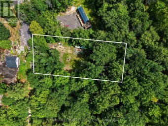 1550 MARY LAKE ROAD Huntsville (Brunel) Ontario photo 3