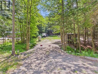 1550 MARY LAKE ROAD Huntsville (Brunel) Ontario photo 4