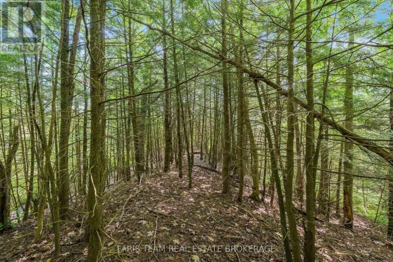 5609 LINE 4 N, Oro-Medonte, Ontario, L0K1N0