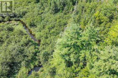 5609 LINE 4 N Oro-Medonte Ontario photo 12